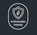 Antioksidan Destek